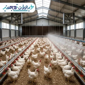 پاش یا پد سلولزی برای مرغداری؛ کدام بهتر است؟